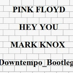 Pink Floyd - Hey You (Mark Knox - DownTempoBootleg)