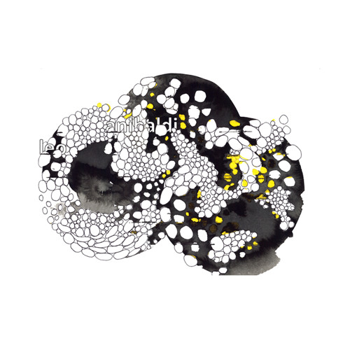 leo anibaldi - process part 372