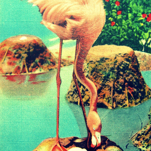 CntLuvU