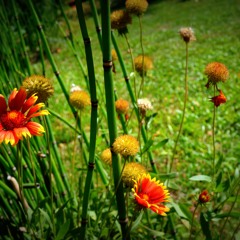 amanece en la ruta cover ft sabri