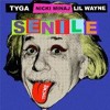 Tyga Ft Nicki Minaj And Lil Wayne Senile Instrumental Mp3