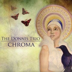 The Donnis Trio - Follow
