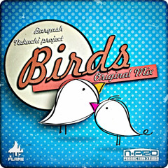 Preview 256kbps - [MF060] Bargash & Nekachi Project - Birds (Original Mix)