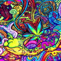 My Little Trip