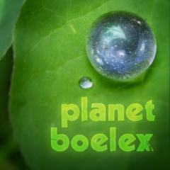 Planet Boelex x Mosaik - Nanomies [2009]