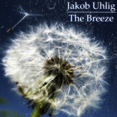 J. Uhlig - The Breeze (Cüpe D'etat Remix)