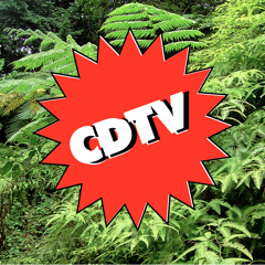 CDTV(CAROLIECUT REMIX)