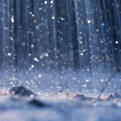 ERIKA BÜSCH | Tarde tu voz