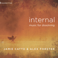 Internal (Feat. Nilesh Shinde)