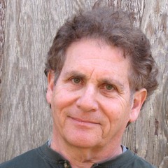 HealthCare Dot Guv Is A NightMare But Should We Privatize