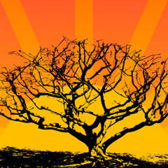 Is the sun set in your house