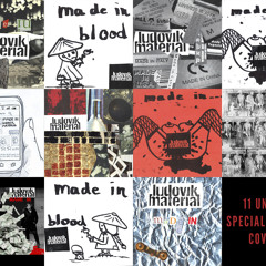 Vecernji Program(anal. verzija)