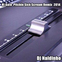 Dj Naldinho Hi Gate Pitchin Sick Scream Remix  2014