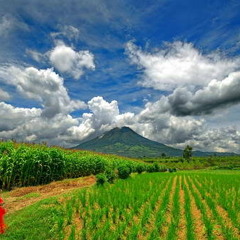 Sinabung Berelah Kami Mulih