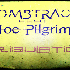 Tribulation remix bombtrack feat joe pilgrim & Massive Boris (Danakil killa bass)