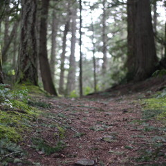 katabatic