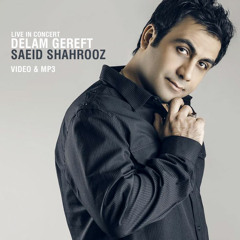 Saeid Shahruz