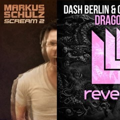 Markus Schulz - Remember this vs Dash Berlin - Dragonfly (FRANC mashup)