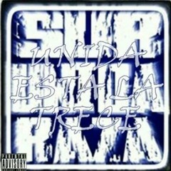 ALBUM: UNIDA ESTA LA TRECE - HEY - SUR UNIDA RAZA (ESE WALAS, LIL FAZ)