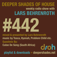 Deeper Shades Of House #442 w/ guest mix by CULOE DE SONG