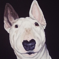 Apollo
