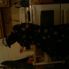 Kushington Cain-Paranoid feat. Dbillz and Hatchet (BONUS TRACK)