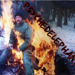 When The Shit Exhibits A Puzzle