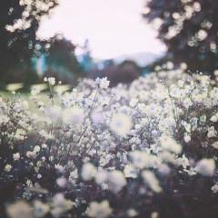 Still Into You - Paramore (cover)