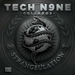 Tech N9ne Over It (feat. Ryan Bradley)