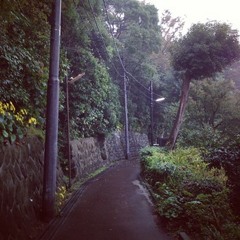 休日、電車に乗って《 from [Nice to meet you.]》