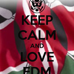 MixTape EDM 2k14 (Frezy Malta ft. Ivan Ady) 320kbps