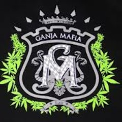 Sam Tego Chciałeś (Diss Firma)