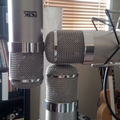 Mic No 3: Fox Audio Research Custom Prototype