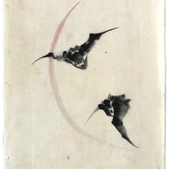 Asian Bat