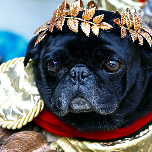 Beware the Ides of March