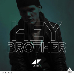 Avicii - Hey Brother ( MJM Bootleg  Remix )