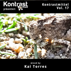 Kontrastmittel Vol. 17 mixed by Kai Torres