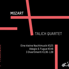 MOZART, Eine kleine Nachtmusik k525 (Menuetto : allegretto)