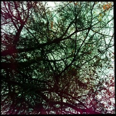 Improvised Guitar with Ebow and other Effects