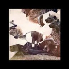 Hyenah - The wish ( Manoo darkside Remix )