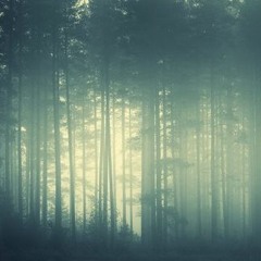 Raindrops Stops Falling On My Mind