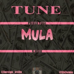 Tune Mula- Lite Feet Love & Other Drugs