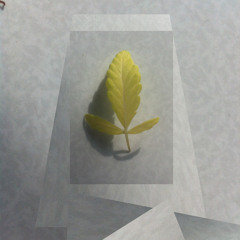 ~ Høt W∆ves ~ (Free DL)