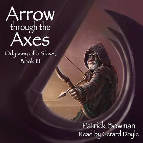 Arrow Through the Axes, by Patrick Bowman, read by Gerard Doyle