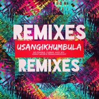 Okmalumkoolkat - Usangikhumbula (Jumping Back Slash Remix)