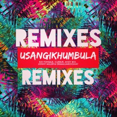 KID FONQUE, CUEBUR, JONNY MILLER, ANDY BOI & OKMALUMKOOLKAT - USANGIKHUMBULA (REMIXES)