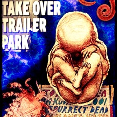 Animals From Outerspace - "Perfect Girl"