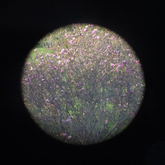 roycecharms//mεtaxմ - ʸᵒᵘ'ʳᵉ ᴬˡˡ ᴬˡᵒᶰᵉ [ᶠᵘˡˡ ᴰᵒʷᶰˡᵒᵃᵈ ᴵᴺ ᴵᴺᶠᴼ]