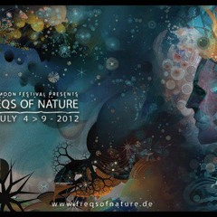 Lauge & Baba Gnohm - Live @ Freqs Of Nature 2012, Germany
