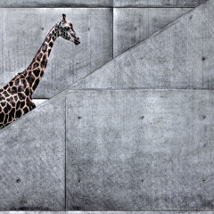 Les Bruits Du Quotidien (BTC 2014)